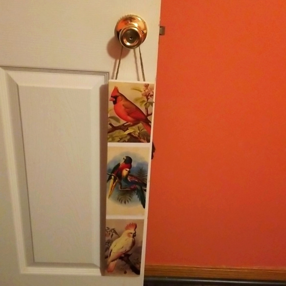 Beautiful bird wall plaque or door hanger